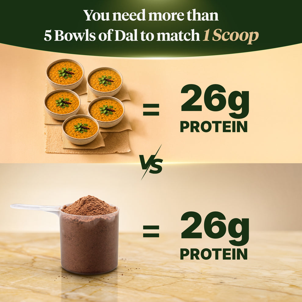 Fast&Up Plant Protein - Rich Chocolate (900 Gm)